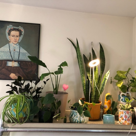 Meet your Posher, Jessi The Clearance Queen! - Picture 4 of 4